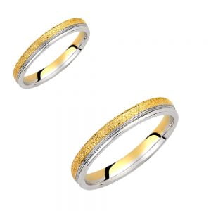 Ζευγάρι Βέρες Γάμου-Αρραβώνα Δίχρωμες VLV-1029-101028D