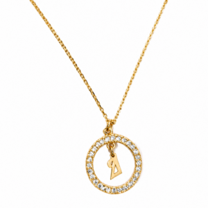 Κολιέ Ασημένιο 925 Επιχρυσωμένο Κύκλος Με Λευκές Πέτρες Ζιργκόν & Μονόγραμμα “Δ” Στο Κέντρο MRS-24901Y